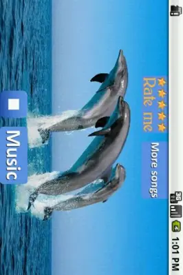 Dolphins - Sound to relax android App screenshot 2