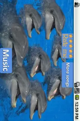 Dolphins - Sound to relax android App screenshot 4